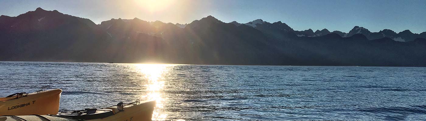 6 kenai fjords kayaking trips